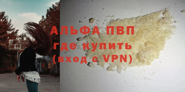 гидра Алексин