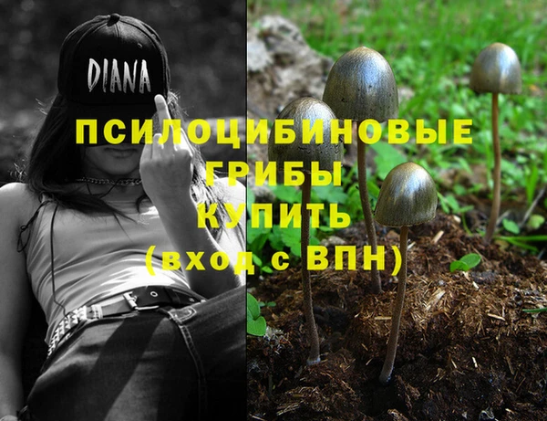 соль курить ск Алексеевка