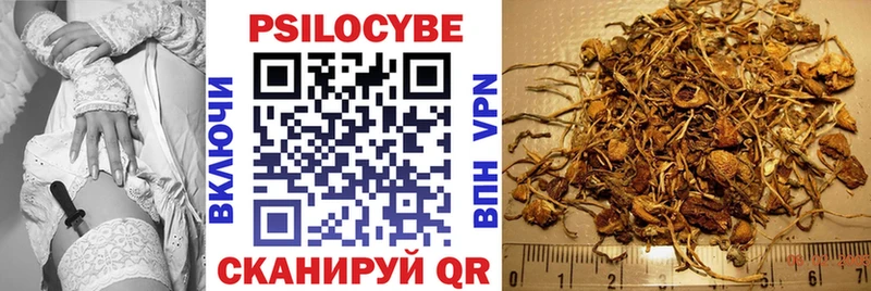 Купить  Болотное  Галлюциногенные грибы MAGIC MUSHROOMS 